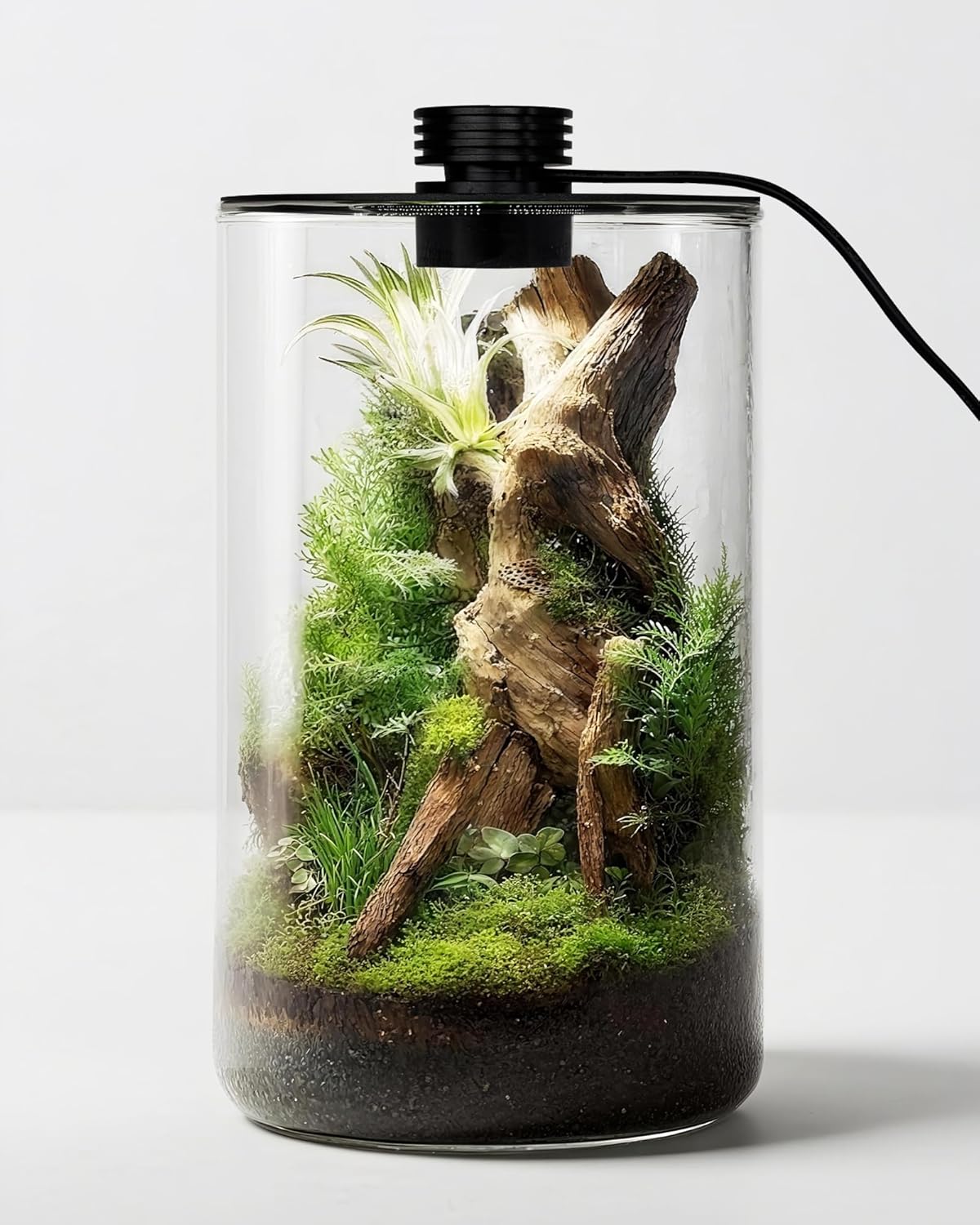 Office Lighting Decor - Terrarium en verre d'intérieur avec lampe