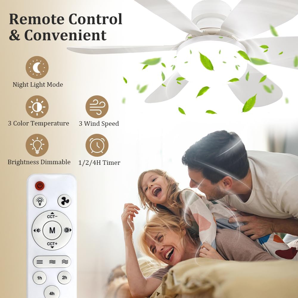 Ventilateur de plafond avec té - Home Lighting And Decor avis et prix