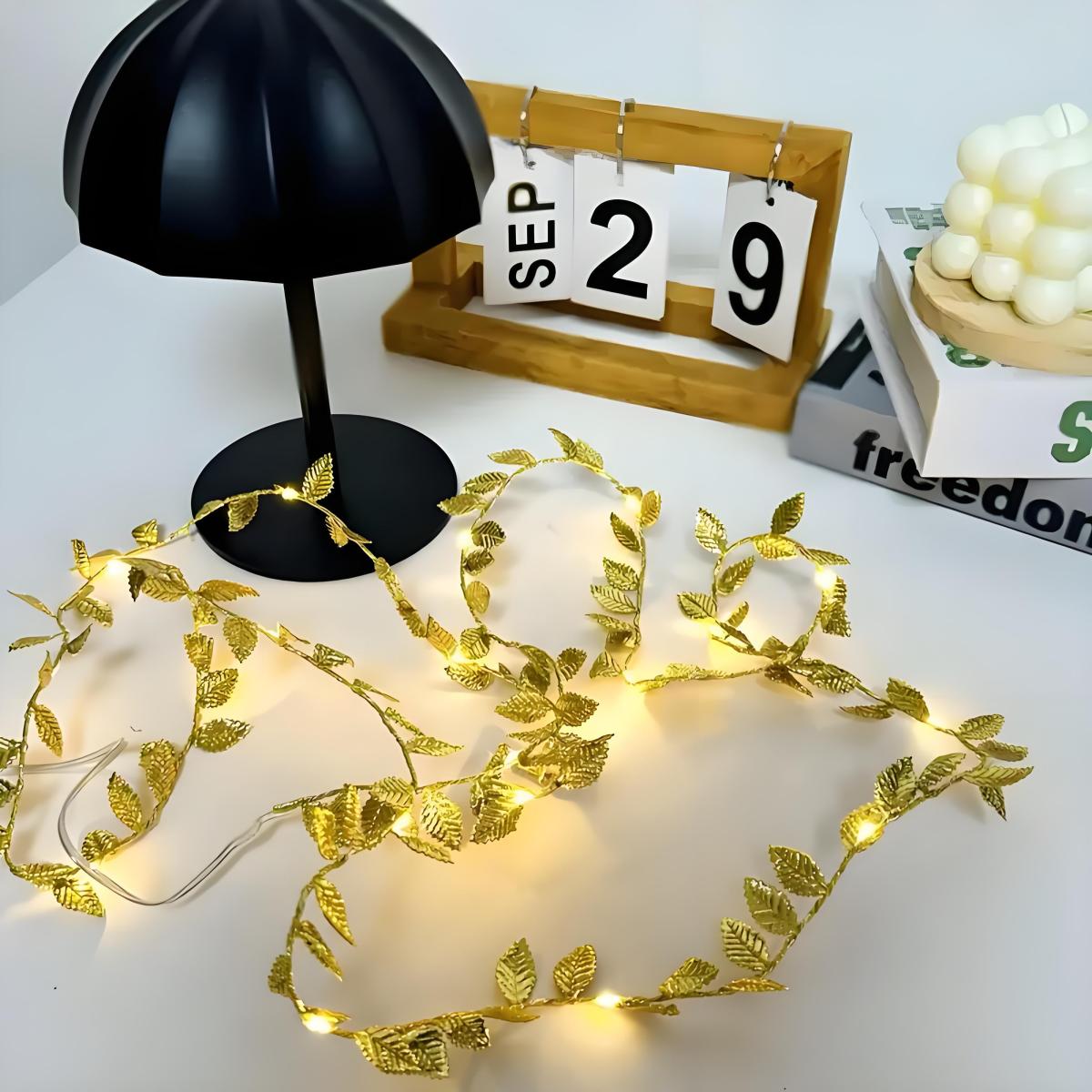 Guirlandes lumineuses LED roma - Lighting Decoration For Diwali avis et prix