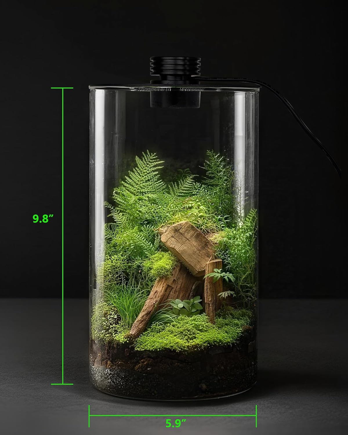 Terrarium en verre d'intérieur - Office Lighting Decor avis et prix