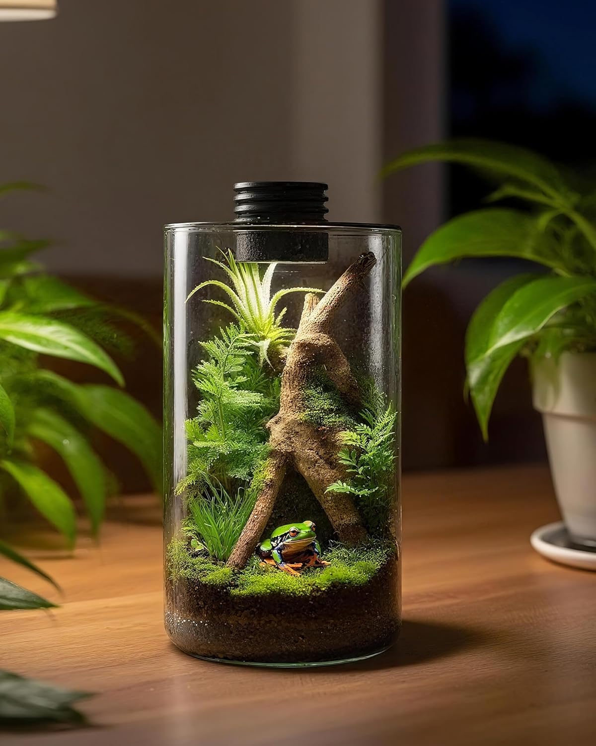Terrarium en verre d'intérieur - Office Lighting Decor avis et prix